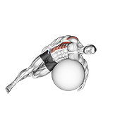 Animación de exercise ball lying side lat stretch