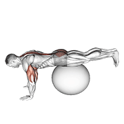 Animación de exercise ball prone leg raise