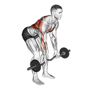 Animación de ez bar reverse grip bent over row