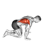 Animación de kneeling lat stretch