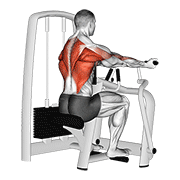 Animación de lever reverse grip vertical row