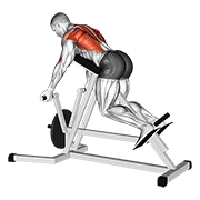 Animación de lever reverse t-bar row