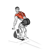 Animación de lever t-bar reverse grip row