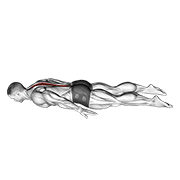 Animación de lower back curl