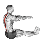 Animación de spine stretch