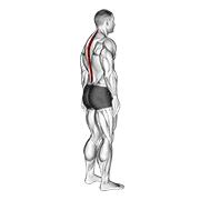Animación de standing pelvic tilt