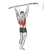 Animación de wide grip rear pull-up