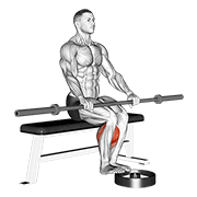 Animación de barbell seated calf raise