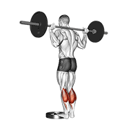 Animación de barbell standing calf raise