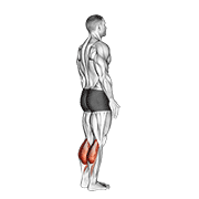 Animación de bodyweight standing calf raise