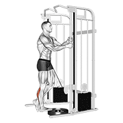 Animación de cable standing one leg calf raise