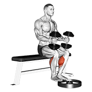Animación de dumbbell seated calf raise