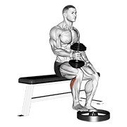 Animación de dumbbell seated one leg calf raise - hammer grip