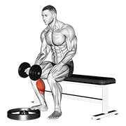 Animación de dumbbell seated one leg calf raise - palm up