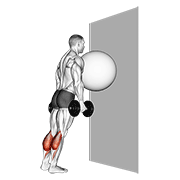 Animación de exercise ball on the wall calf raise