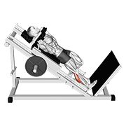 Animación de hack one leg calf raise