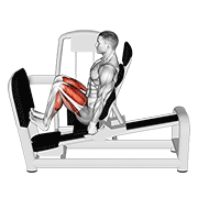 Animación de lever seated squat calf raise on leg press machine