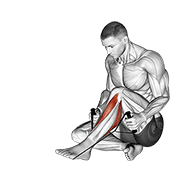 Animación de posterior tibialis stretch