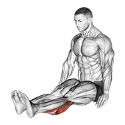 Animación de seated calf stretch (male)