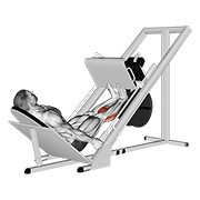 Animación de sled calf press on leg press