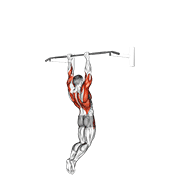 Animación de muscle-up (on vertical bar)