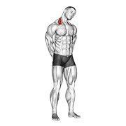Animación de neck side stretch
