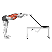 Animación de back pec stretch