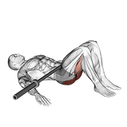Animación de barbell glute bridge