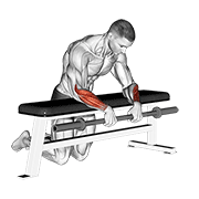 Animación de barbell palms down wrist curl over a bench