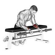 Animación de barbell palms up wrist curl over a bench