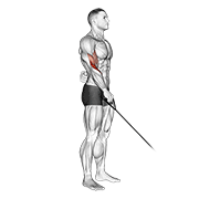 Animación de cable reverse one arm curl