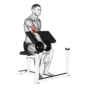 Animación de dumbbell one arm reverse preacher curl