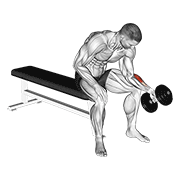 Animación de dumbbell one arm seated neutral wrist curl