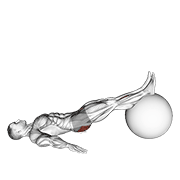 Animación de exercise ball one legged diagonal kick hamstring curl
