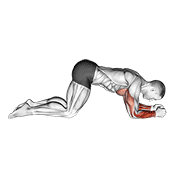 Animación de modified push up to lower arms