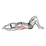 Animación de pelvic tilt into bridge