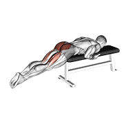 Animación de reverse hyper on flat bench