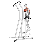 Animación de chest dip (on dip-pull-up cage)