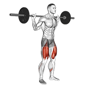 Animación de barbell low bar squat