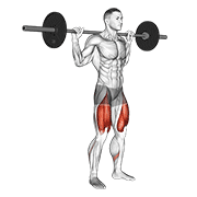 Animación de barbell high bar squat