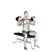 Animación de kettlebell seated two arm military press