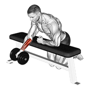 Animación de dumbbell over bench one arm reverse wrist curl
