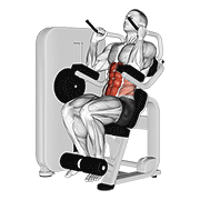 Animación de lever seated crunch