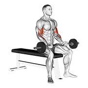 Animación de ez barbell seated curls