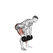 Animación de dumbbell romanian deadlift