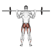 Animación de barbell full squat (back pov)