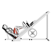 Animación de sled 45° leg press (side pov)