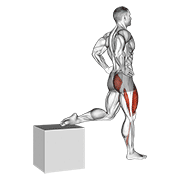 Animación de one leg squat