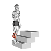 Animación de standing calf raise (on a staircase)