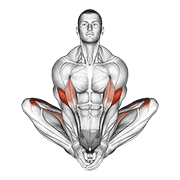 Animación de butterfly yoga pose